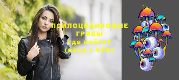эйфоретик Майский