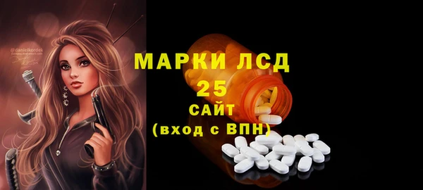 эйфоретик Майский