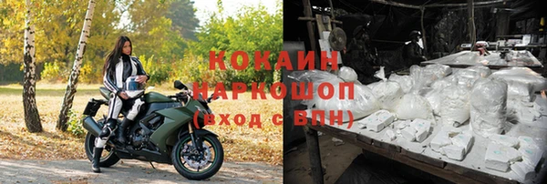 эйфоретик Майский