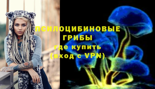 PSILOCYBIN Магадан