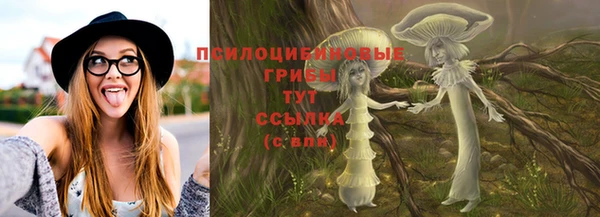 PSILOCYBIN Магадан