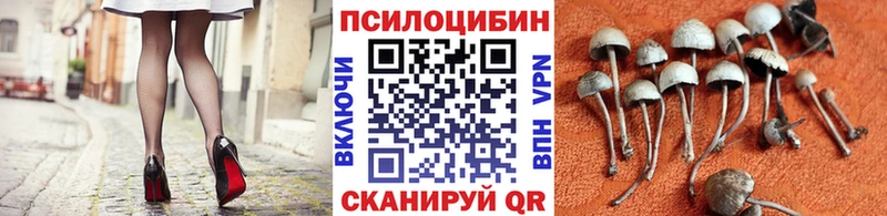 Псилоцибиновые грибы ЛСД  сайты даркнета формула  Тырныауз  дарнет шоп 