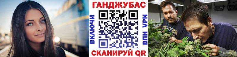 Каннабис индика Тырныауз